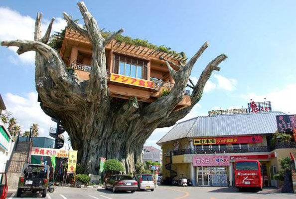 japanese tree art
